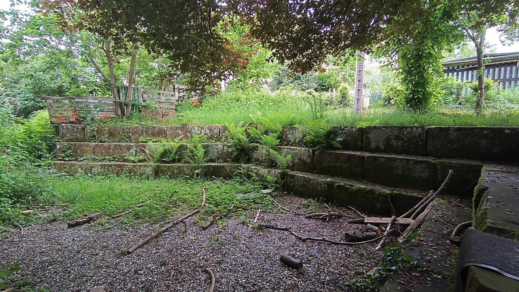 amphithéâtre extérieur en pierre avec végétation et terre battue